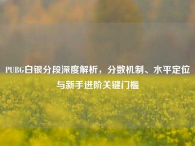 PUBG白银分段深度解析，分数机制、水平定位与新手进阶关键门槛