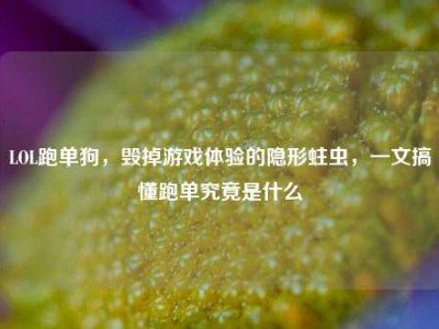 LOL跑单狗，毁掉游戏体验的隐形蛀虫，一文搞懂跑单究竟是什么