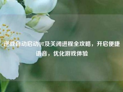 逆战自动启动QT及关闭进程全攻略，开启便捷语音，优化游戏体验
