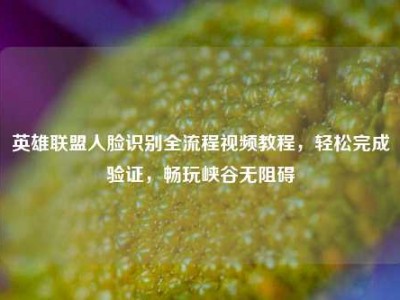 英雄联盟人脸识别全流程视频教程，轻松完成验证，畅玩峡谷无阻碍