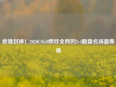 绝境封神！2020CSGO燃炸全网的2v4翻盘名场面集锦