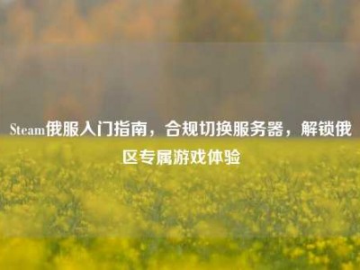 Steam俄服入门指南，合规切换服务器，解锁俄区专属游戏体验