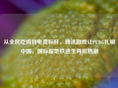 从全民吃鸡到电竞标杆，腾讯游戏让PUBG扎根中国，国际服地铁逃生再掀热潮