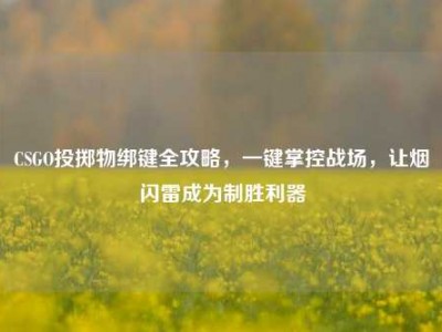 CSGO投掷物绑键全攻略，一键掌控战场，让烟闪雷成为制胜利器
