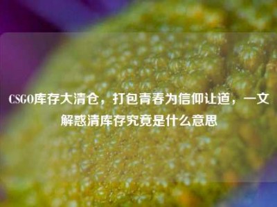 CSGO库存大清仓，打包青春为信仰让道，一文解惑清库存究竟是什么意思