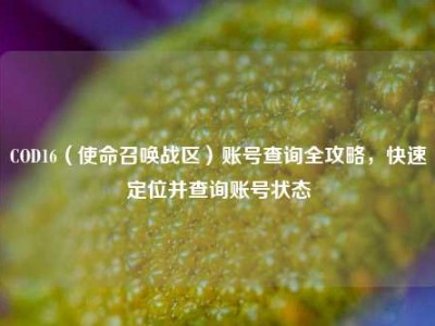 COD16（使命召唤战区）账号查询全攻略，快速定位并查询账号状态