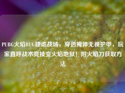 PUBG火焰BUG肆虐战场，穿透掩体无视护甲，玩家直呼战术竞技变火焰地狱！附火焰刀获取方法