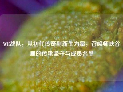 WE战队，从初代传奇到新生力量，召唤师峡谷里的传承坚守与成员名单