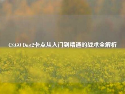 CS:GO Dust2卡点从入门到精通的战术全解析