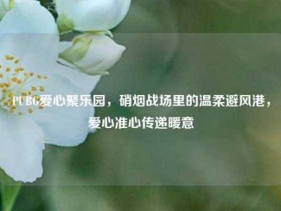 PUBG爱心聚乐园，硝烟战场里的温柔避风港，爱心准心传递暖意