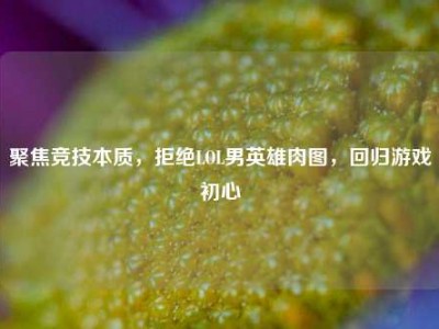 聚焦竞技本质，拒绝LOL男英雄肉图，回归游戏初心