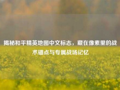 揭秘和平精英地图中文标志，藏在像素里的战术锚点与专属战场记忆