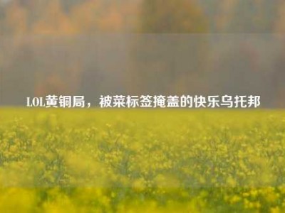 LOL黄铜局，被菜标签掩盖的快乐乌托邦