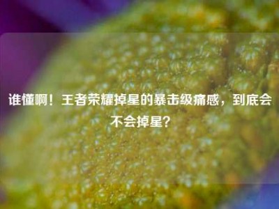 谁懂啊！王者荣耀掉星的暴击级痛感，到底会不会掉星？