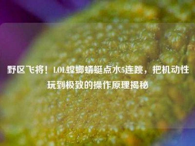 野区飞将！LOL螳螂蜻蜓点水5连跳，把机动性玩到极致的操作原理揭秘