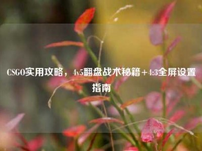 CSGO实用攻略，4v5翻盘战术秘籍+4:3全屏设置指南