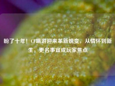 盼了十年！CF端游迎来革新蜕变，从情怀到新生，更名事宜成玩家焦点