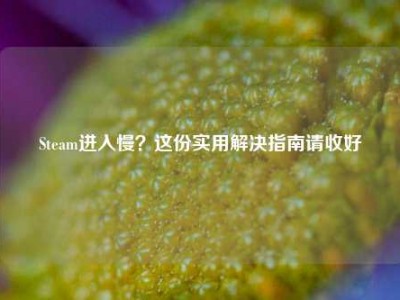 Steam进入慢？这份实用解决指南请收好