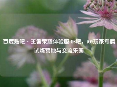 百度贴吧·王者荣耀体验服iOS吧，iOS玩家专属试炼营地与交流乐园