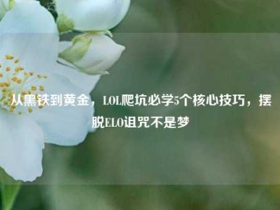 从黑铁到黄金，LOL爬坑必学5个核心技巧，摆脱ELO诅咒不是梦