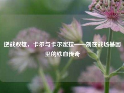 逆战双雄，卡尔与卡尔蜜拉——刻在战场基因里的铁血传奇