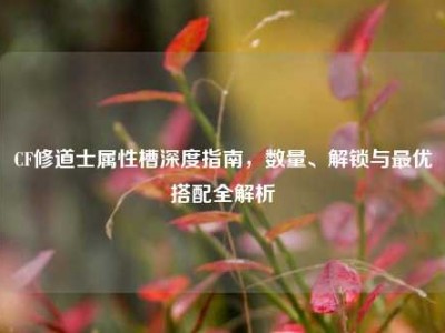 CF修道士属性槽深度指南，数量、解锁与最优搭配全解析