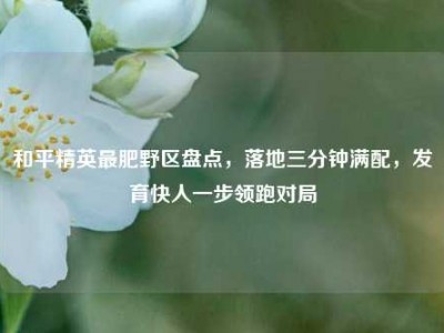 和平精英最肥野区盘点，落地三分钟满配，发育快人一步领跑对局