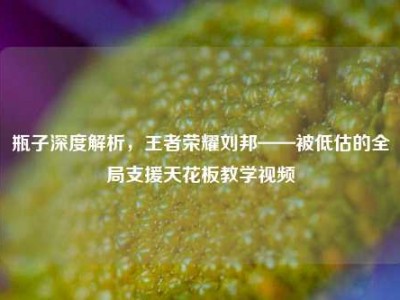 瓶子深度解析，王者荣耀刘邦——被低估的全局支援天花板教学视频