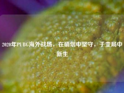 2020年PUBG海外战场，在硝烟中坚守，于变局中新生