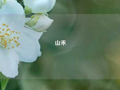 山禾