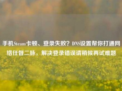 手机Steam卡顿、登录失败？DNS设置帮你打通网络任督二脉，解决登录错误请稍候再试难题