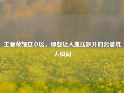 王者荣耀安卓区，那些让人血压飙升的离谱坑人瞬间
