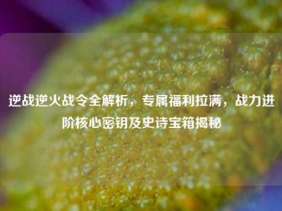 逆战逆火战令全解析，专属福利拉满，战力进阶核心密钥及史诗宝箱揭秘