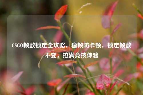 CSGO帧数锁定全攻略，稳帧防卡顿，锁定帧数不变，拉满竞技体验