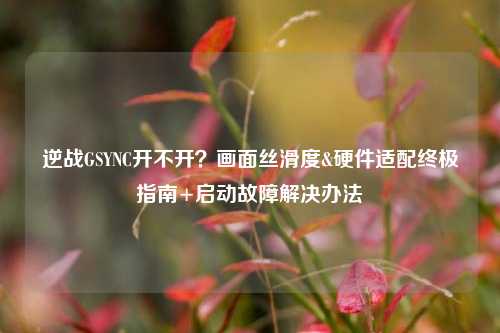 逆战GSYNC开不开？画面丝滑度&硬件适配终极指南+启动故障解决办法