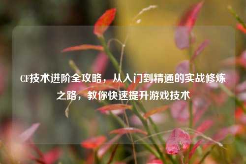 CF技术进阶全攻略,从入门到精通的实战修炼之路,教你快速提升游戏技术