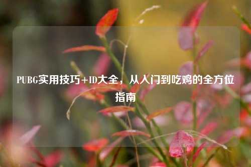 PUBG实用技巧+ID大全，从入门到吃鸡的全方位指南