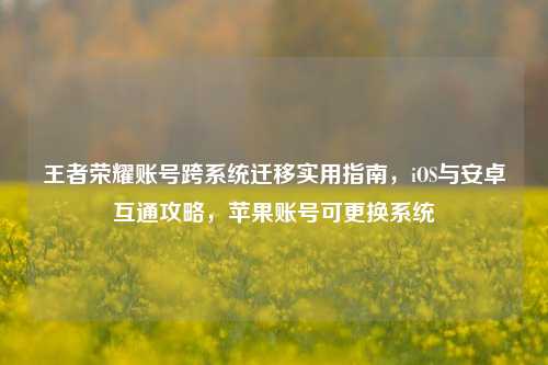 王者荣耀账号跨系统迁移实用指南，iOS与安卓互通攻略，苹果账号可更换系统