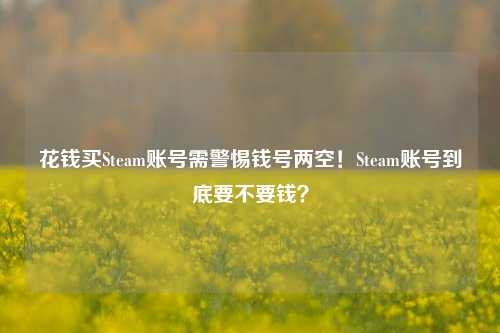花钱买Steam账号需警惕钱号两空！Steam账号到底要不要钱？