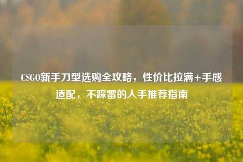 CSGO新手刀型选购全攻略,性价比拉满+手感适配,不踩雷的入手推荐指南
