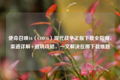 使命召唤16（COD16）现代战争正版下载全指南，渠道详解+避坑攻略，一文解决在哪下载难题