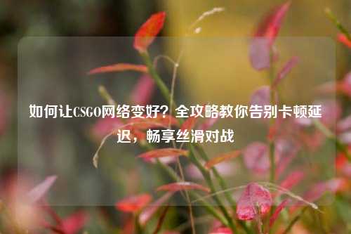 如何让CSGO网络变好？全攻略教你告别卡顿延迟，畅享丝滑对战