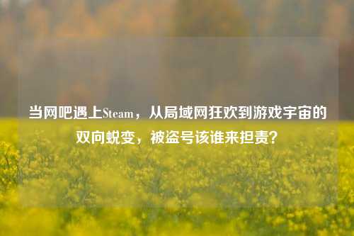 当网吧遇上Steam,从局域网狂欢到游戏宇宙的双向蜕变,被盗号该谁来担责?