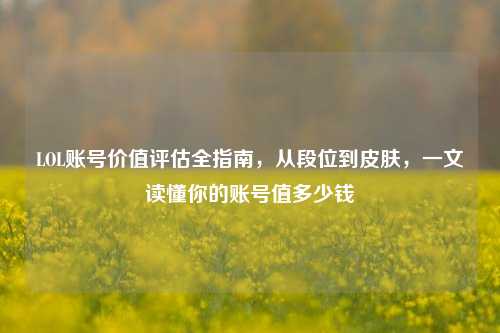 LOL账号价值评估全指南,从段位到皮肤,一文读懂你的账号值多少钱