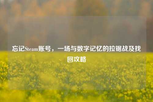 忘记Steam账号,一场与数字记忆的拉锯战及找回攻略