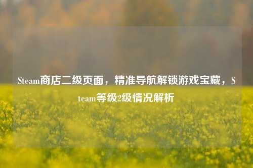 Steam商店二级页面,精准导航解锁游戏宝藏,Steam等级2级情况解析