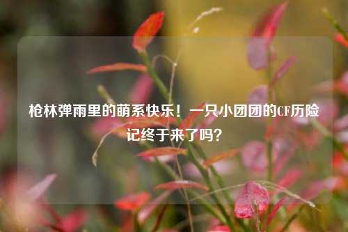 枪林弹雨里的萌系快乐!一只小团团的CF历险记终于来了吗?