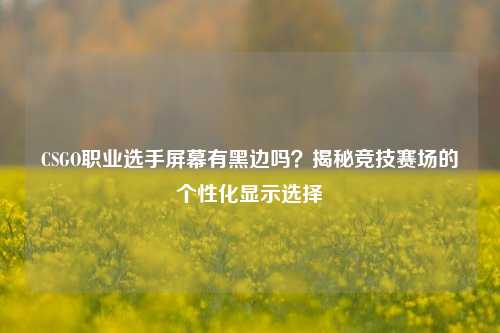 CSGO职业选手屏幕有黑边吗?揭秘竞技赛场的个性化显示选择