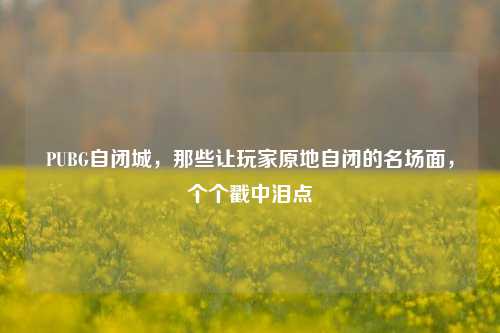PUBG自闭城,那些让玩家原地自闭的名场面,个个戳中泪点