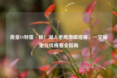詹皇VS特雷·杨!湖人老鹰激情碰撞,一文搞定在线观看全指南